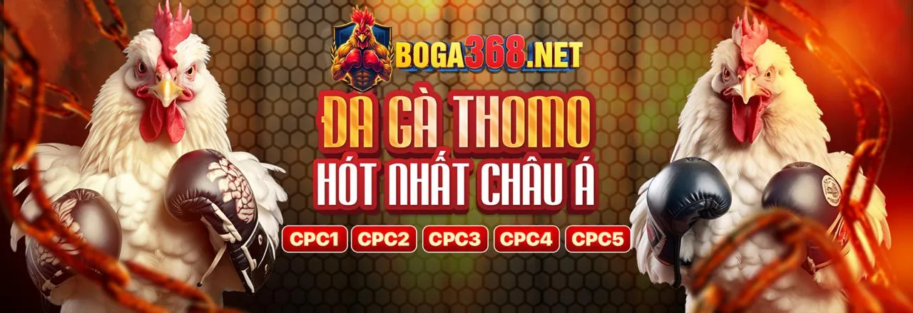 Chương trình VIP độc quyền của SHBET5 NỔ HŨ