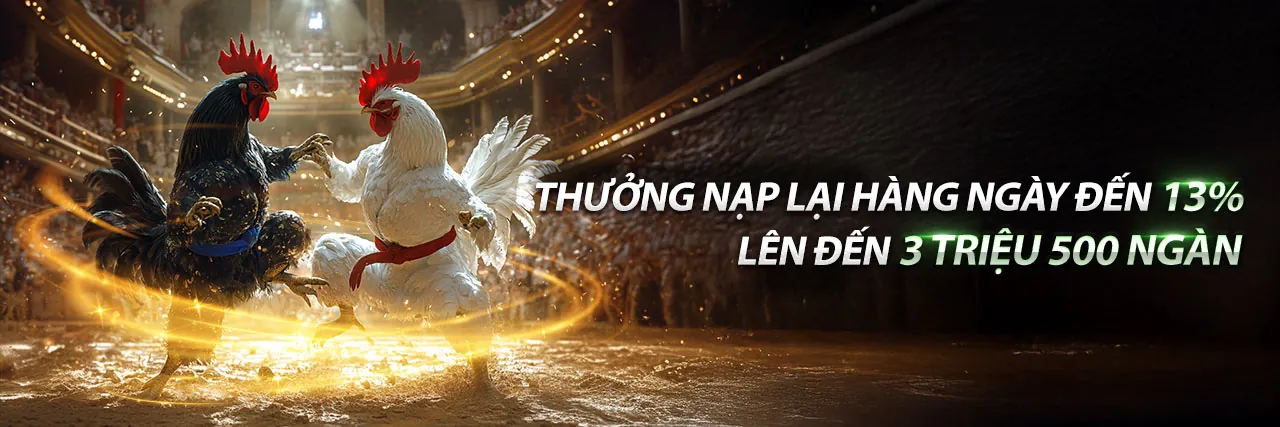 Đá Gà Trực Tuyến SHBET5 Nổ Hũ 2026